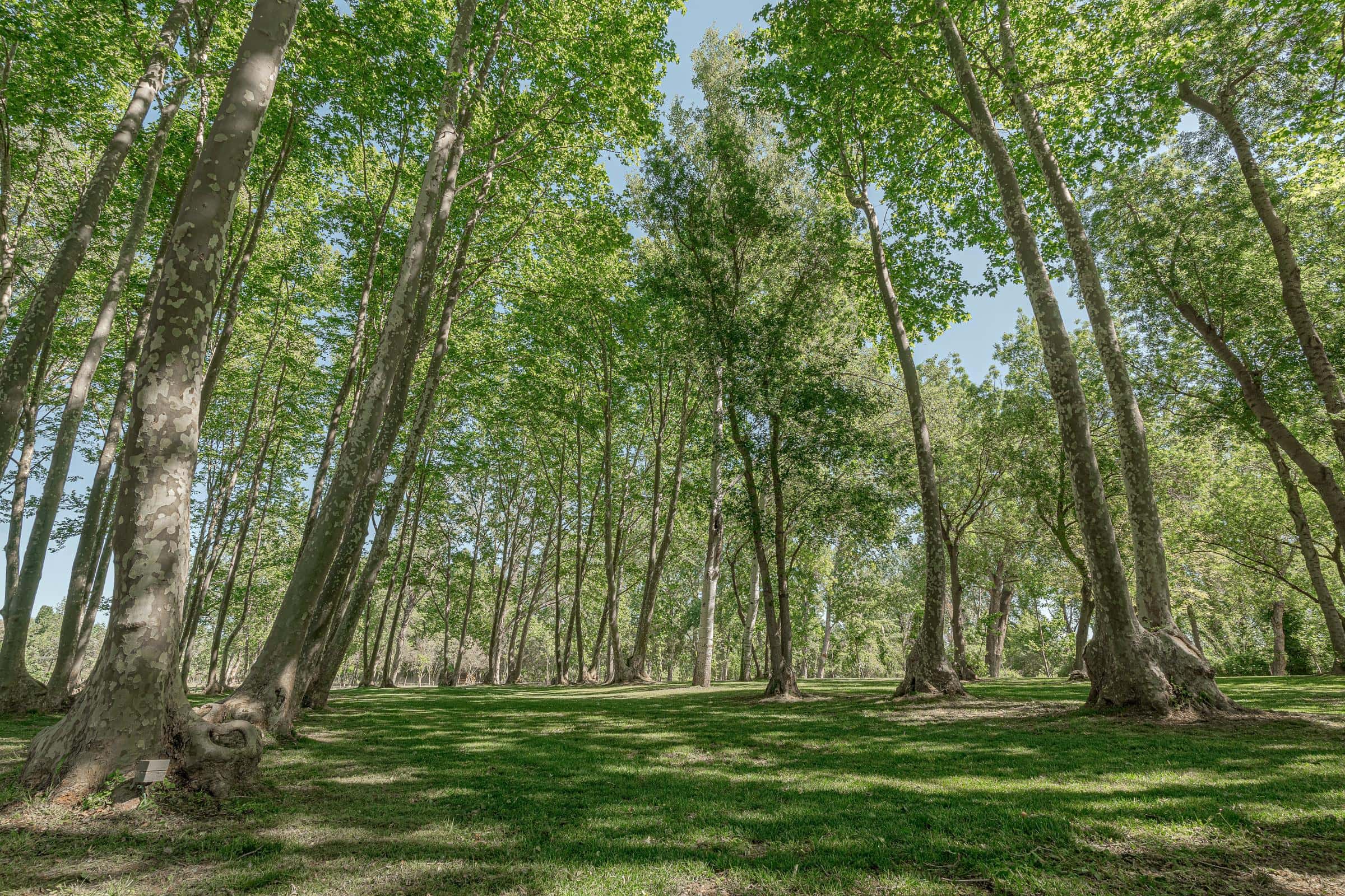 L'entorn natural de la casa rural
